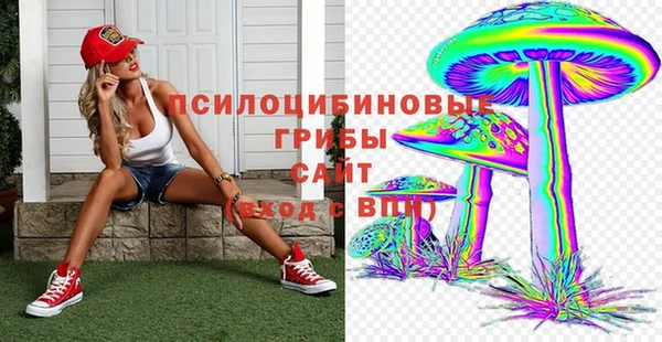 Альфа ПВП Медвежьегорск