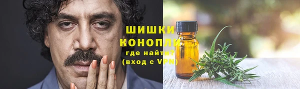 гидра Мегион