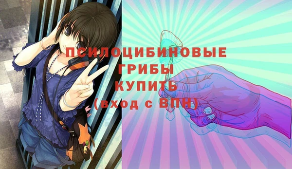 молекула духа Магас