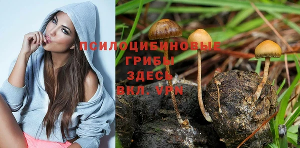 молекула духа Магас