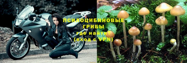 молекула духа Магас