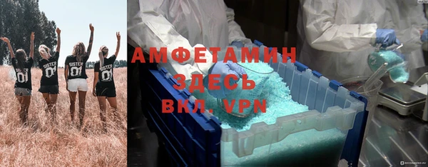 гидра Мегион