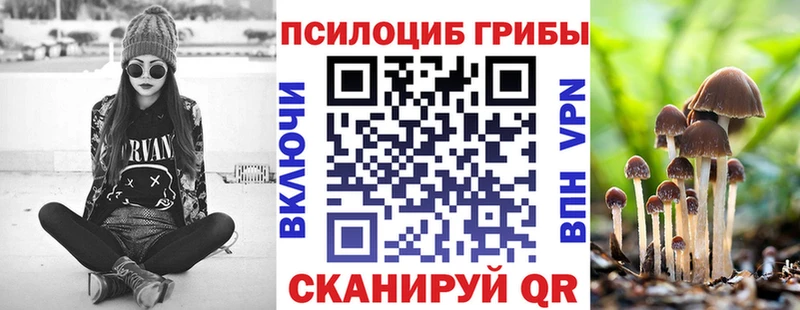 omg tor  Лысково  Галлюциногенные грибы ЛСД 